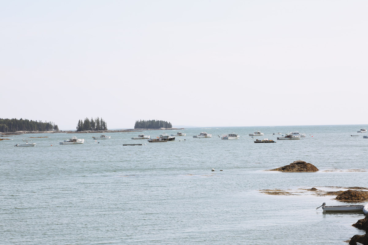 mid coast maine guide-9.jpg