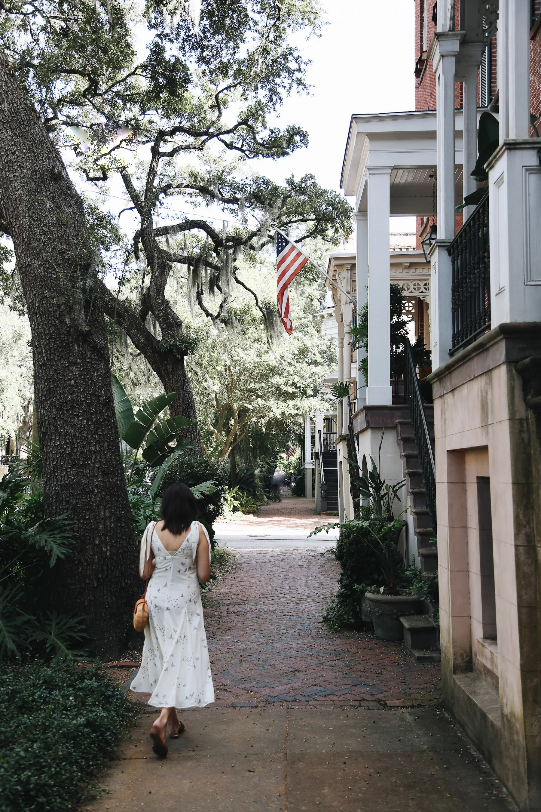 24 hour guide to savannah2.jpg