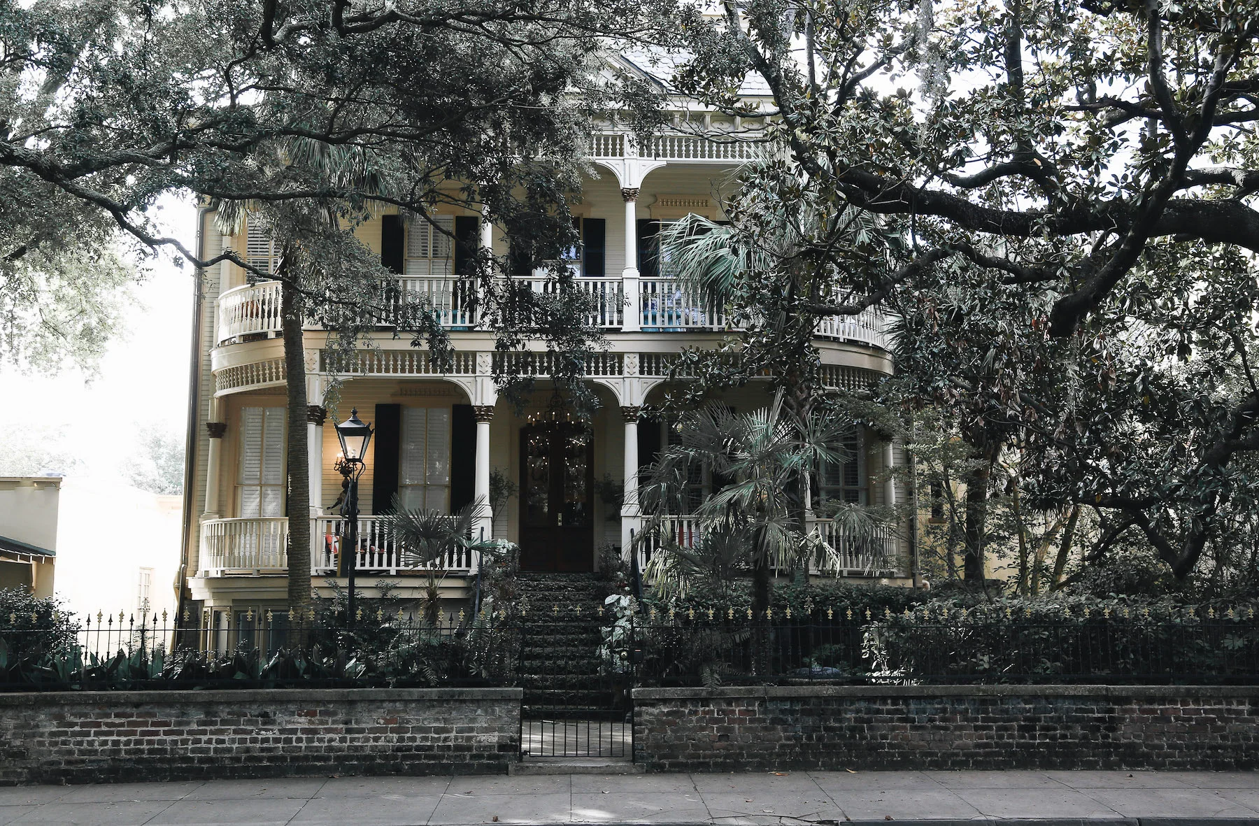 24 hour guide to savannah1.jpg