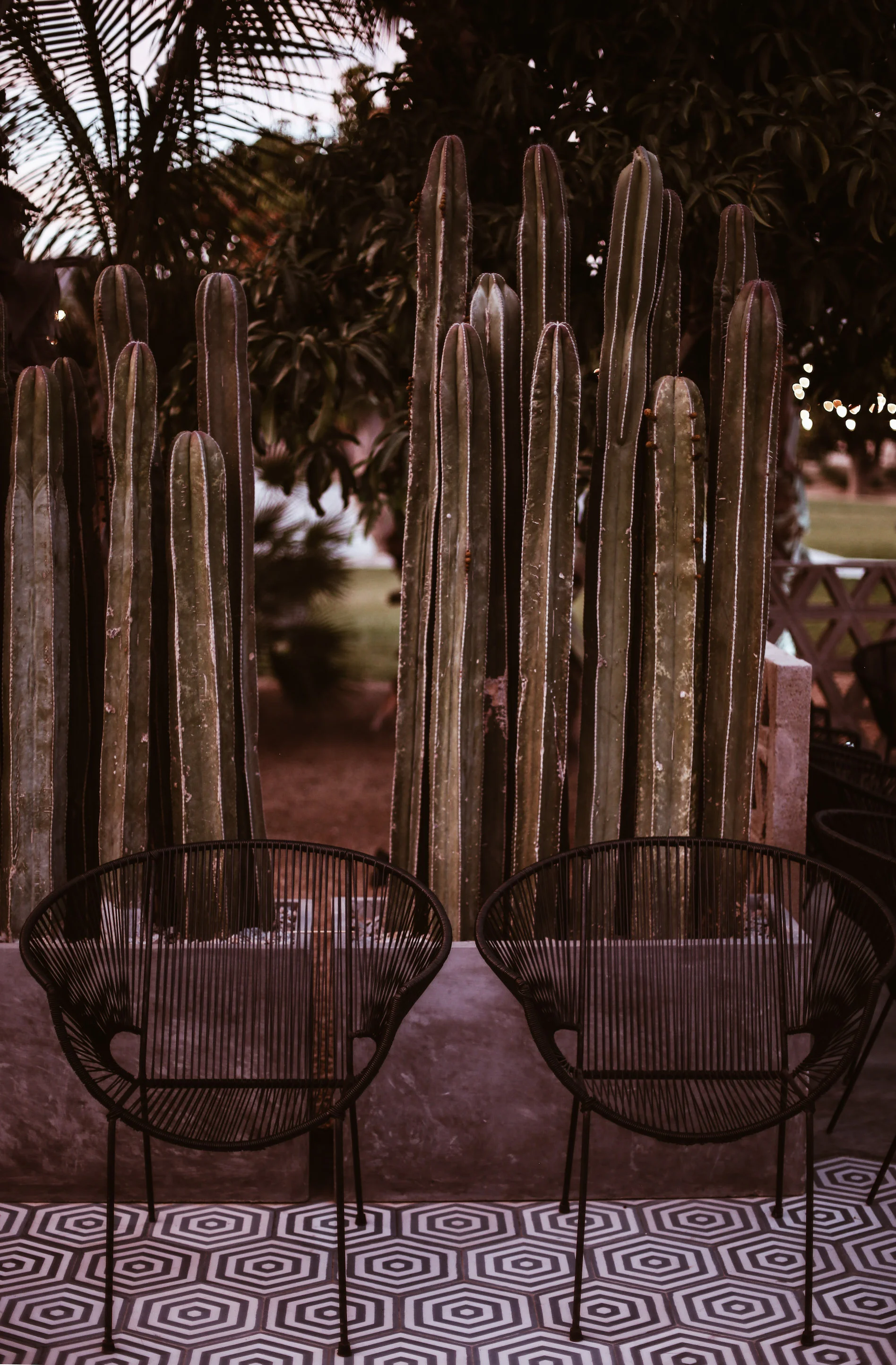 acre baja hotel-11.jpg