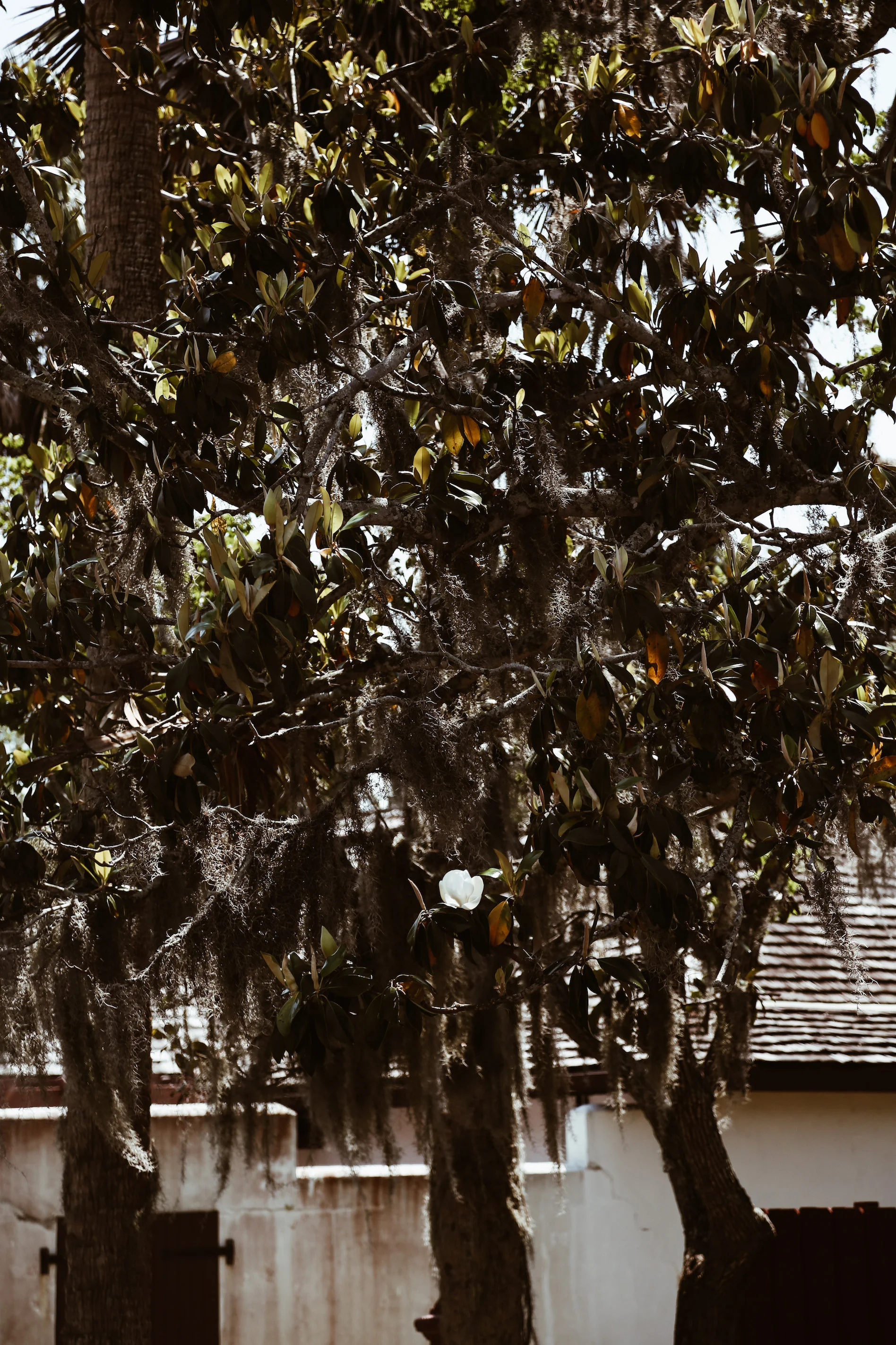 St. Augustine Florida4.jpg