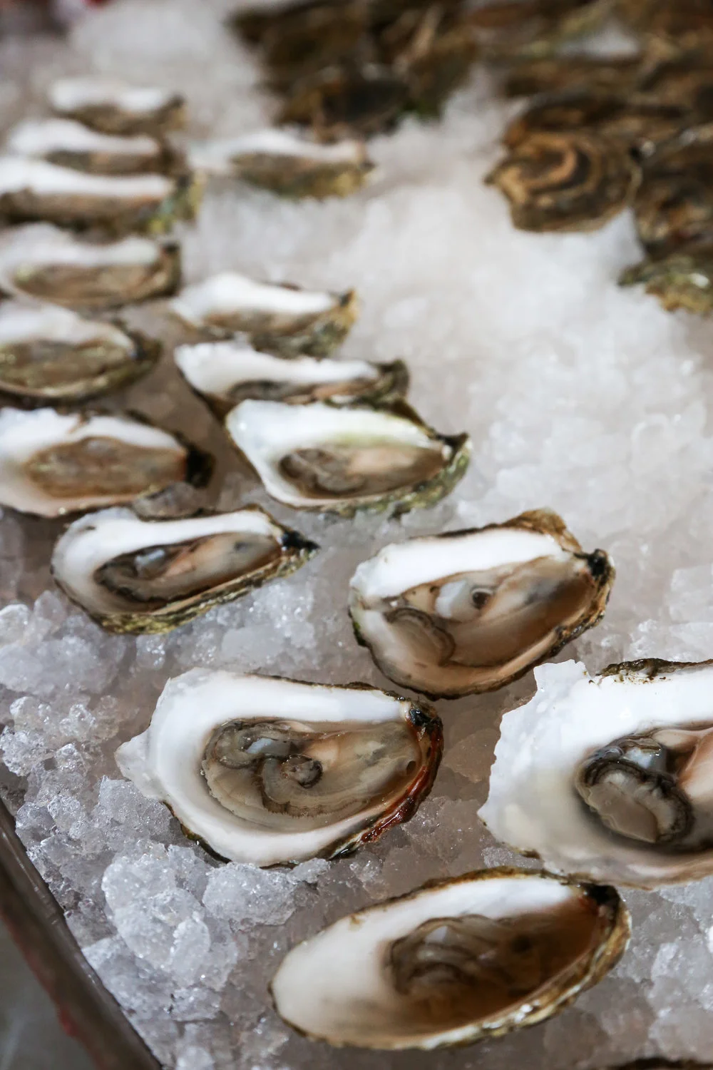 Chatham+Bars+Inn,+Cape+Cod16.jpg