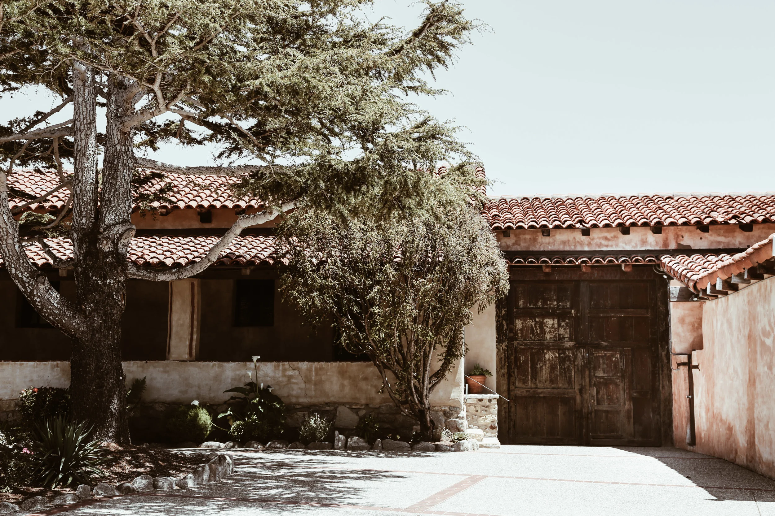 Carmel5.jpg