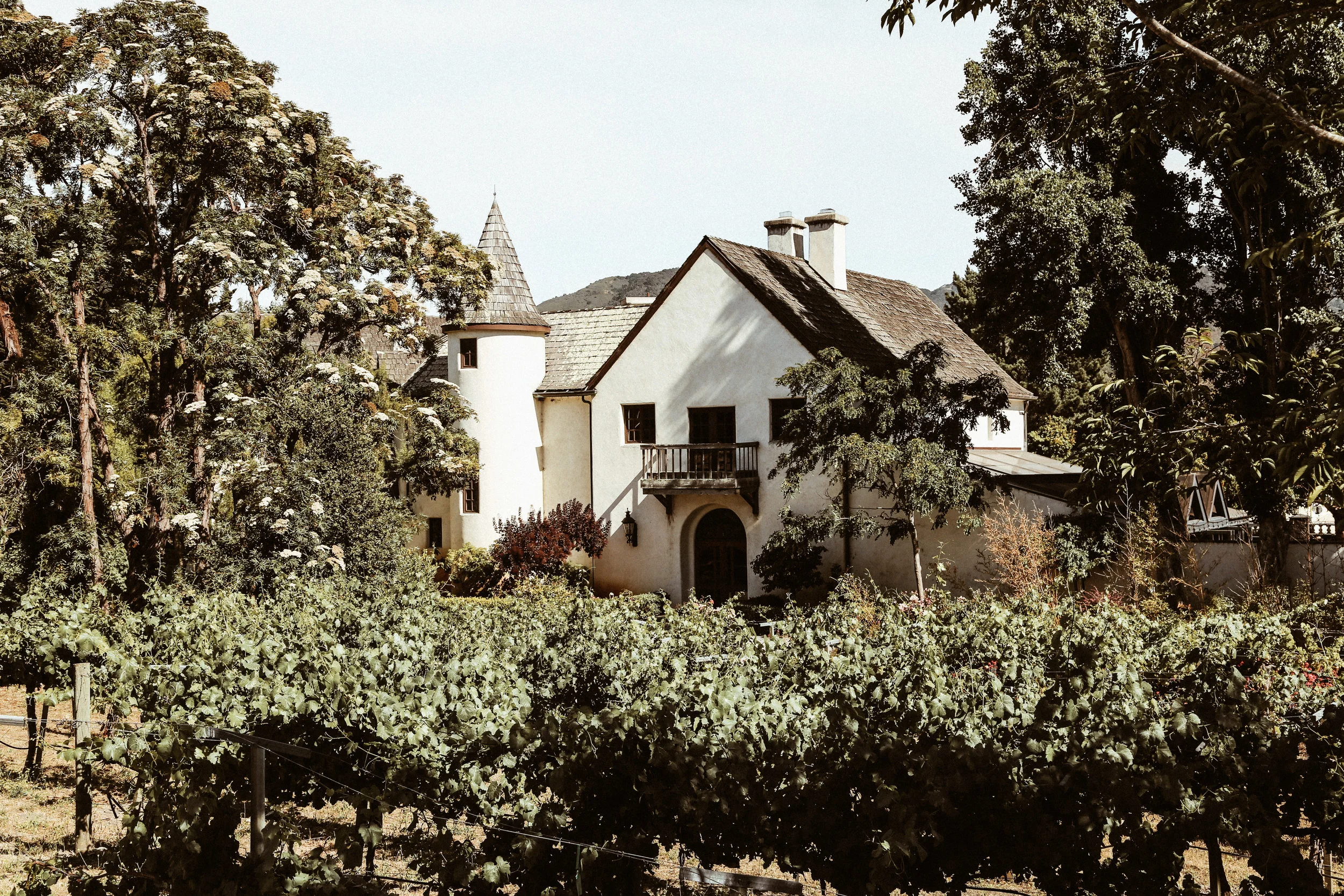 Carmel-51.jpg