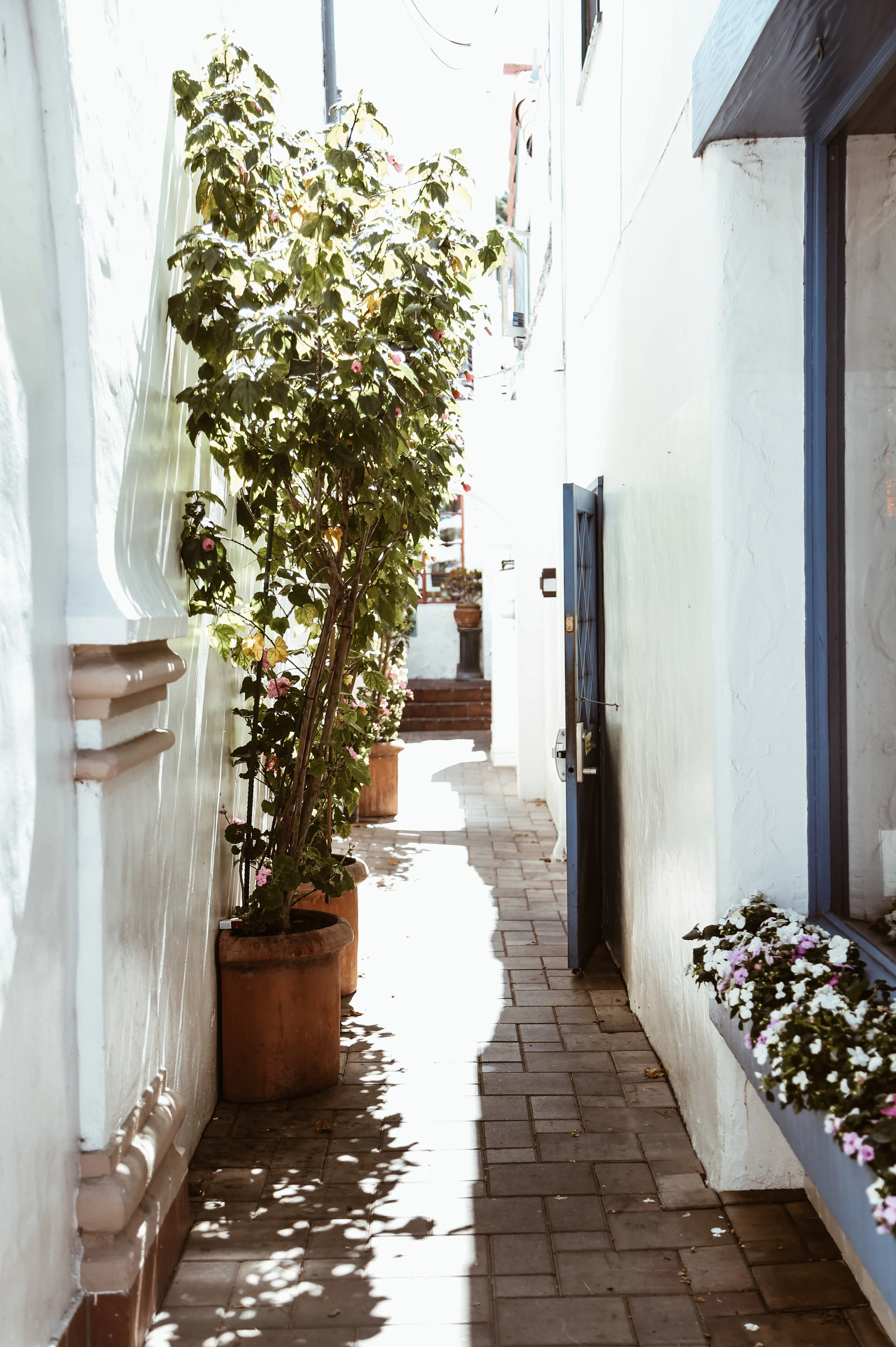 Carmel, California-18.jpg