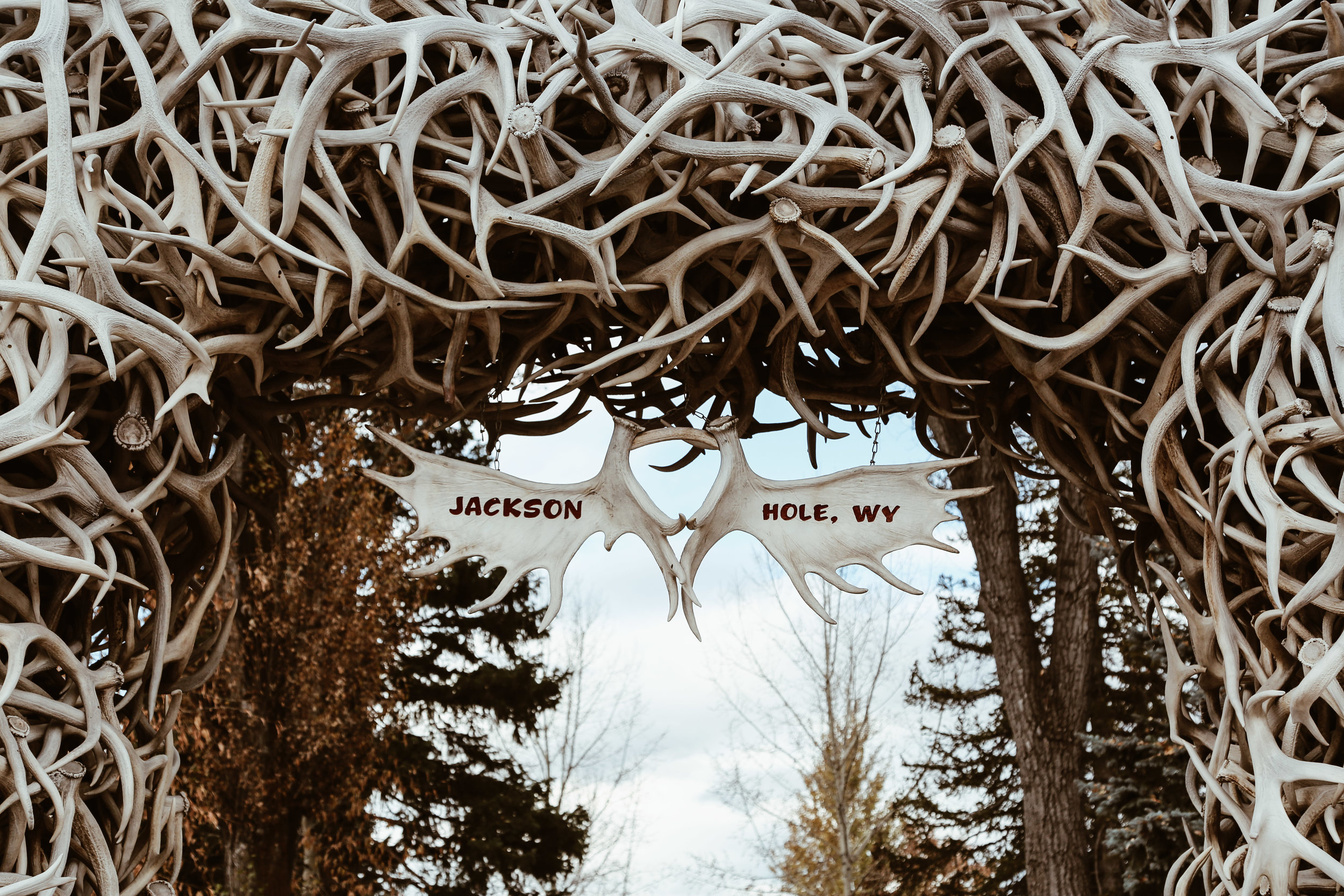 Infamous arches around Jackson Hole created from antlers that have been shed by the elk on the elk refuge