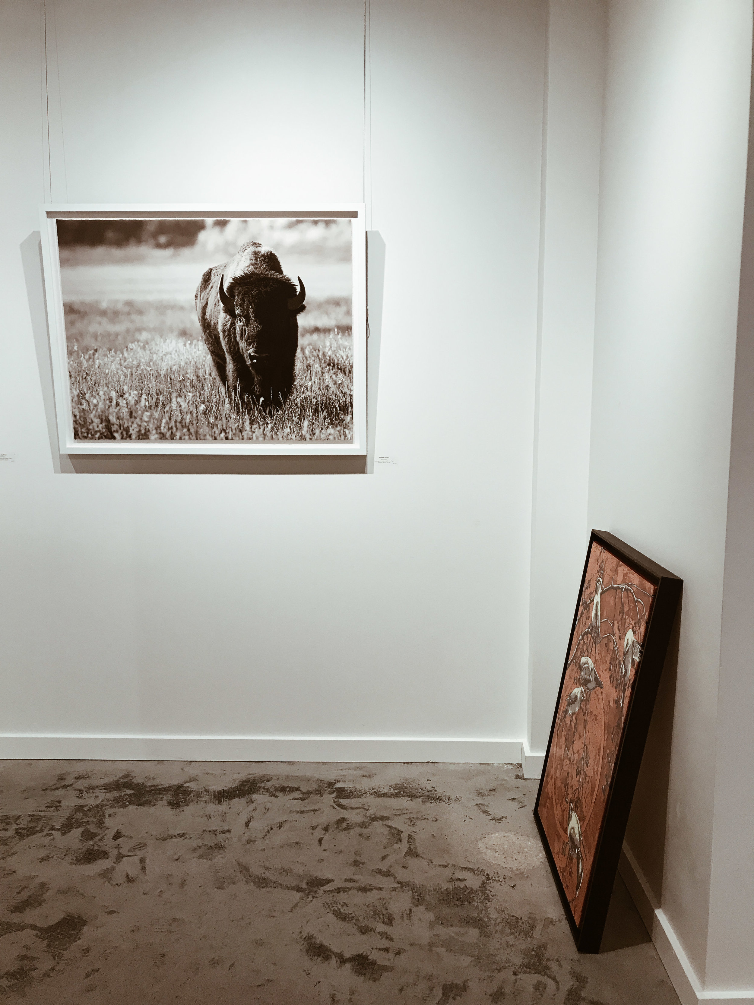 Inside one of the art galleries, Gallery Wild