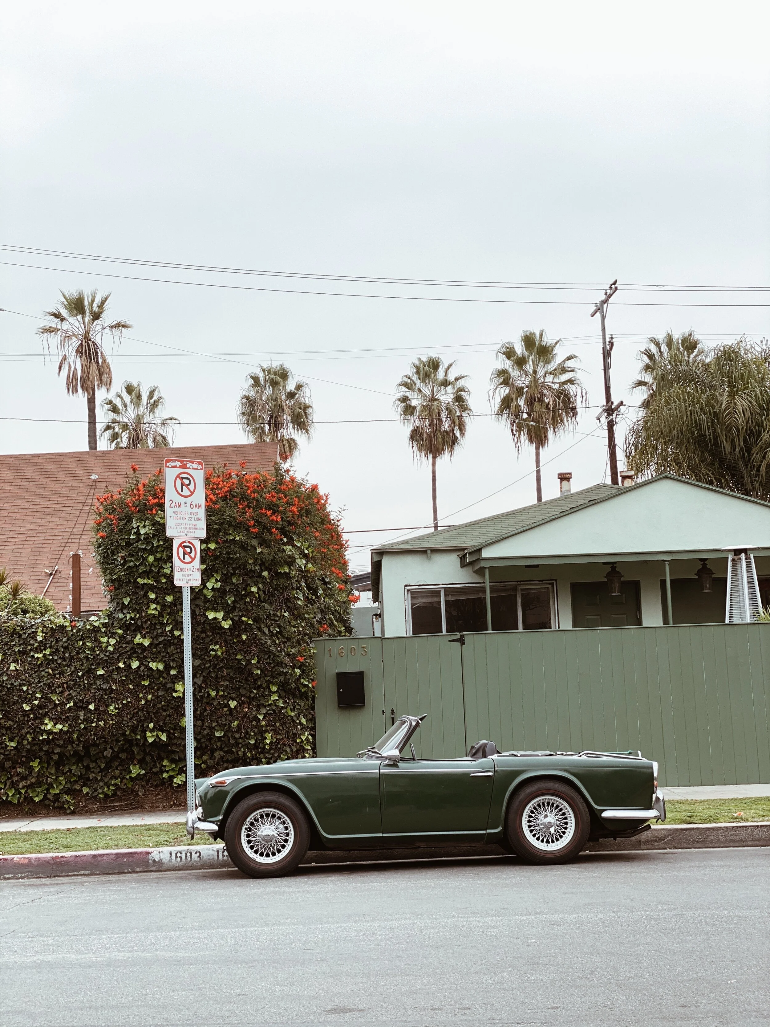  WHAT'S AHEAD // FEBRUARY 2020