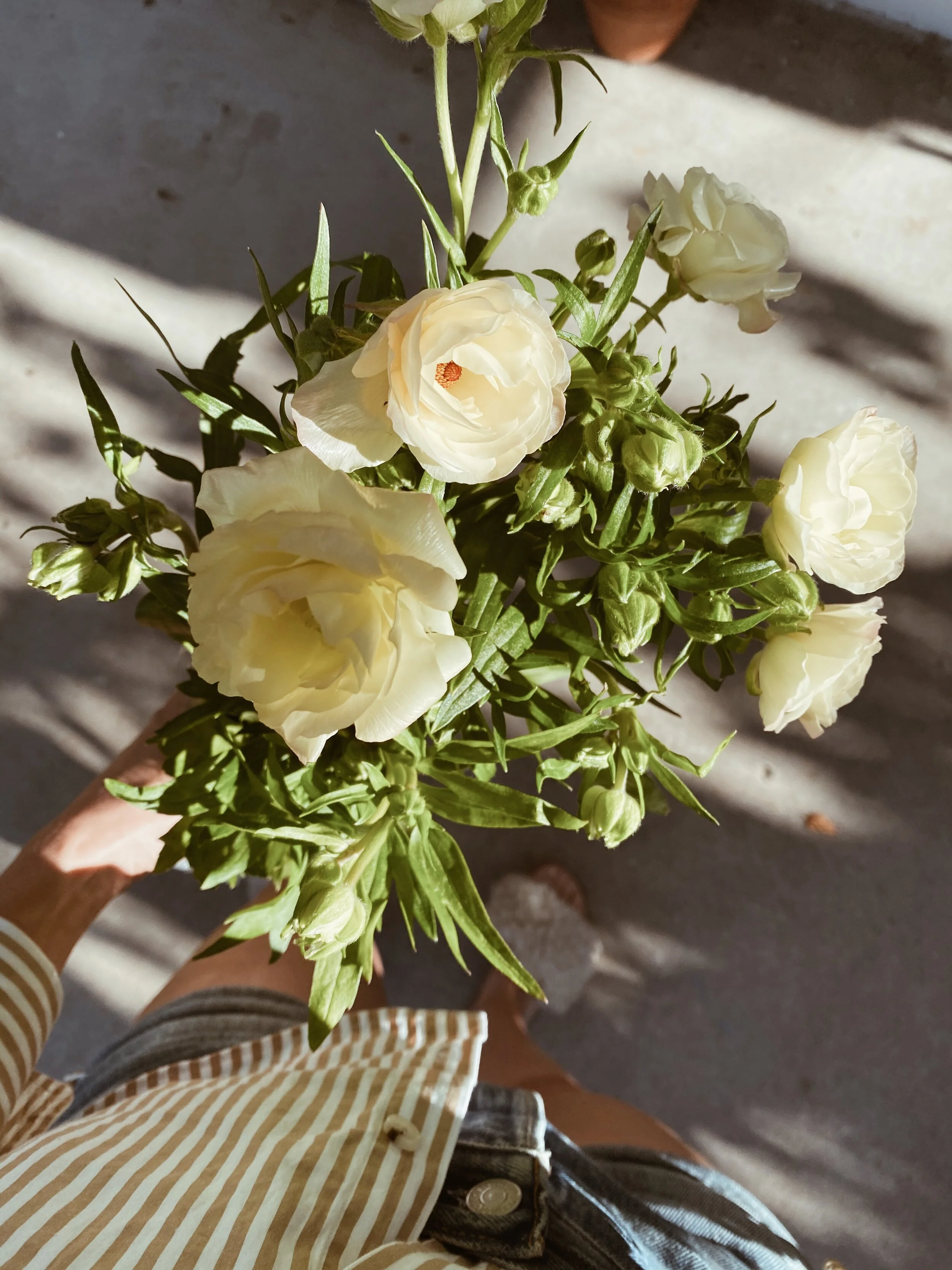 What's Ahead // September 2020