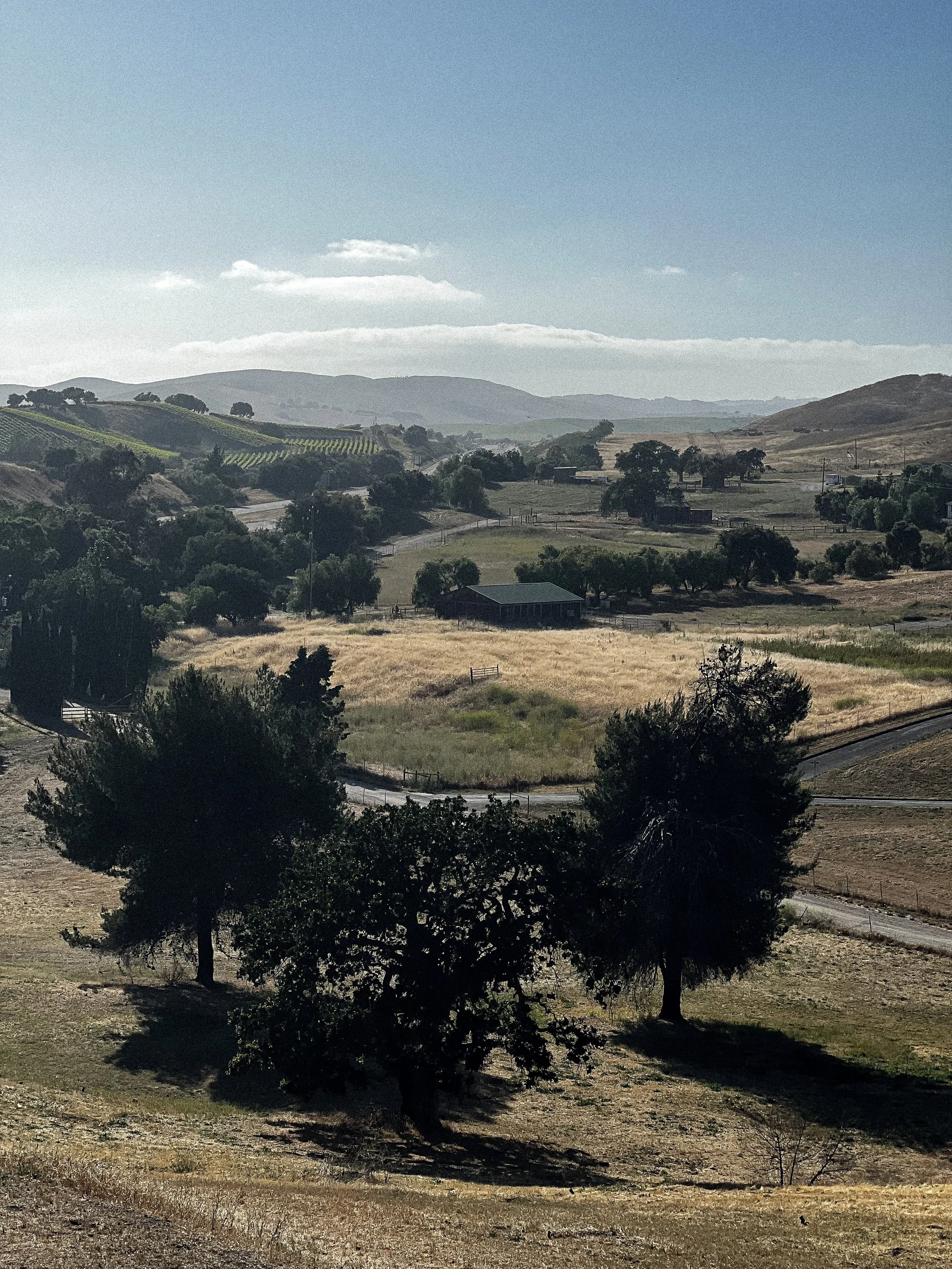 The Ultimate Travel Guide to Santa Ynez Valley