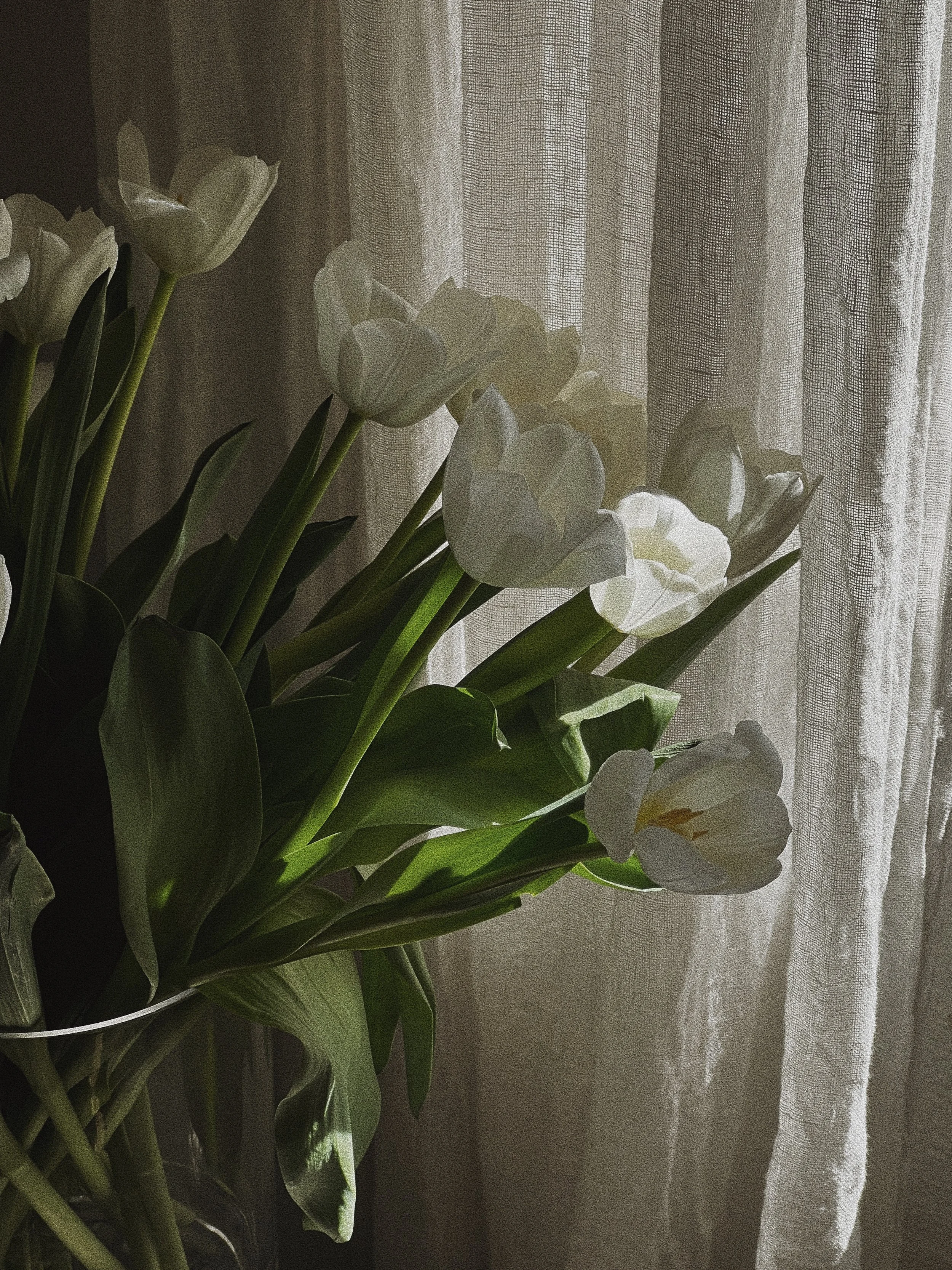 MONTH AHEAD // APRIL 2025