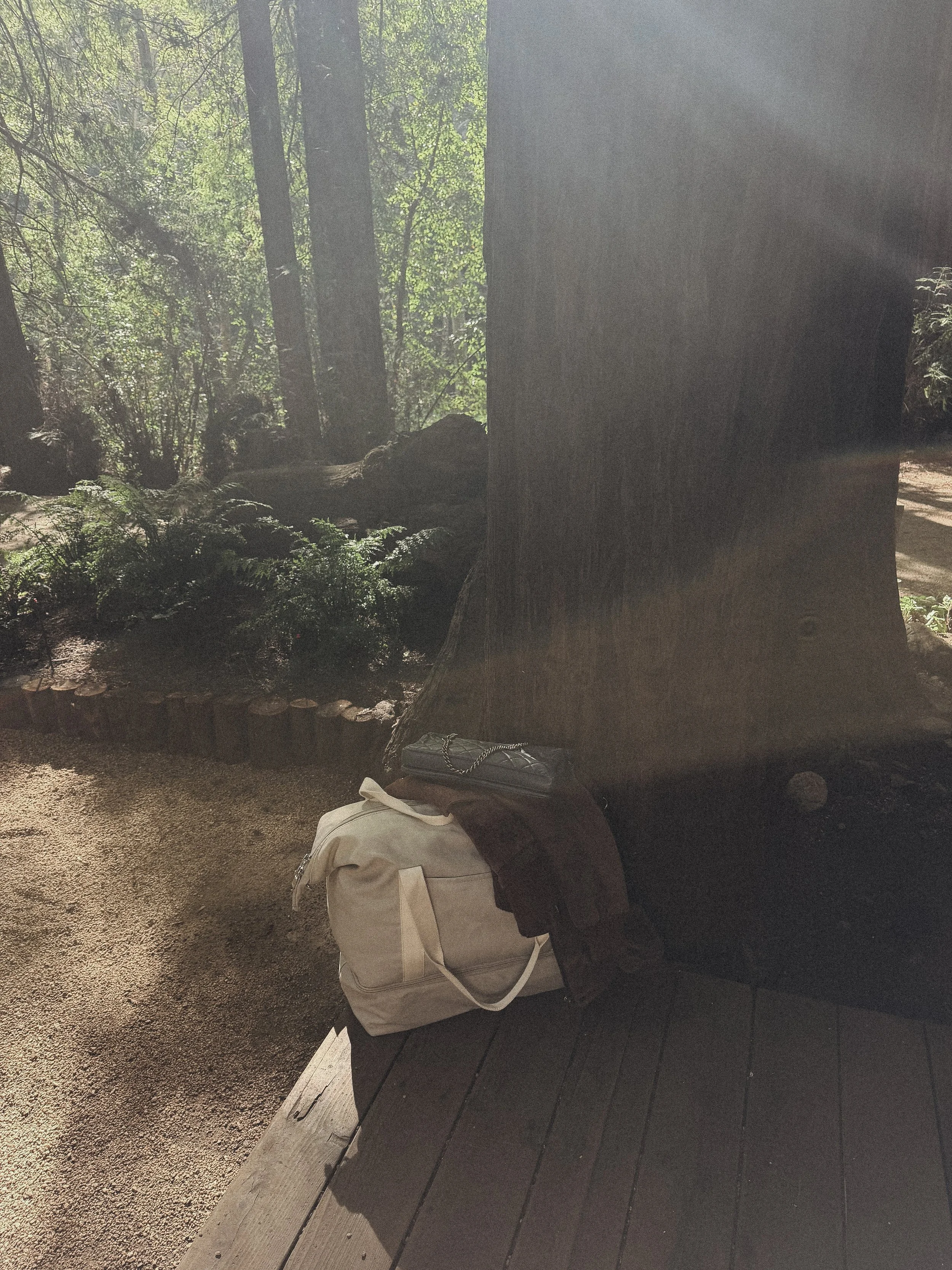 What to Pack for Big Sur: A Complete Packing List