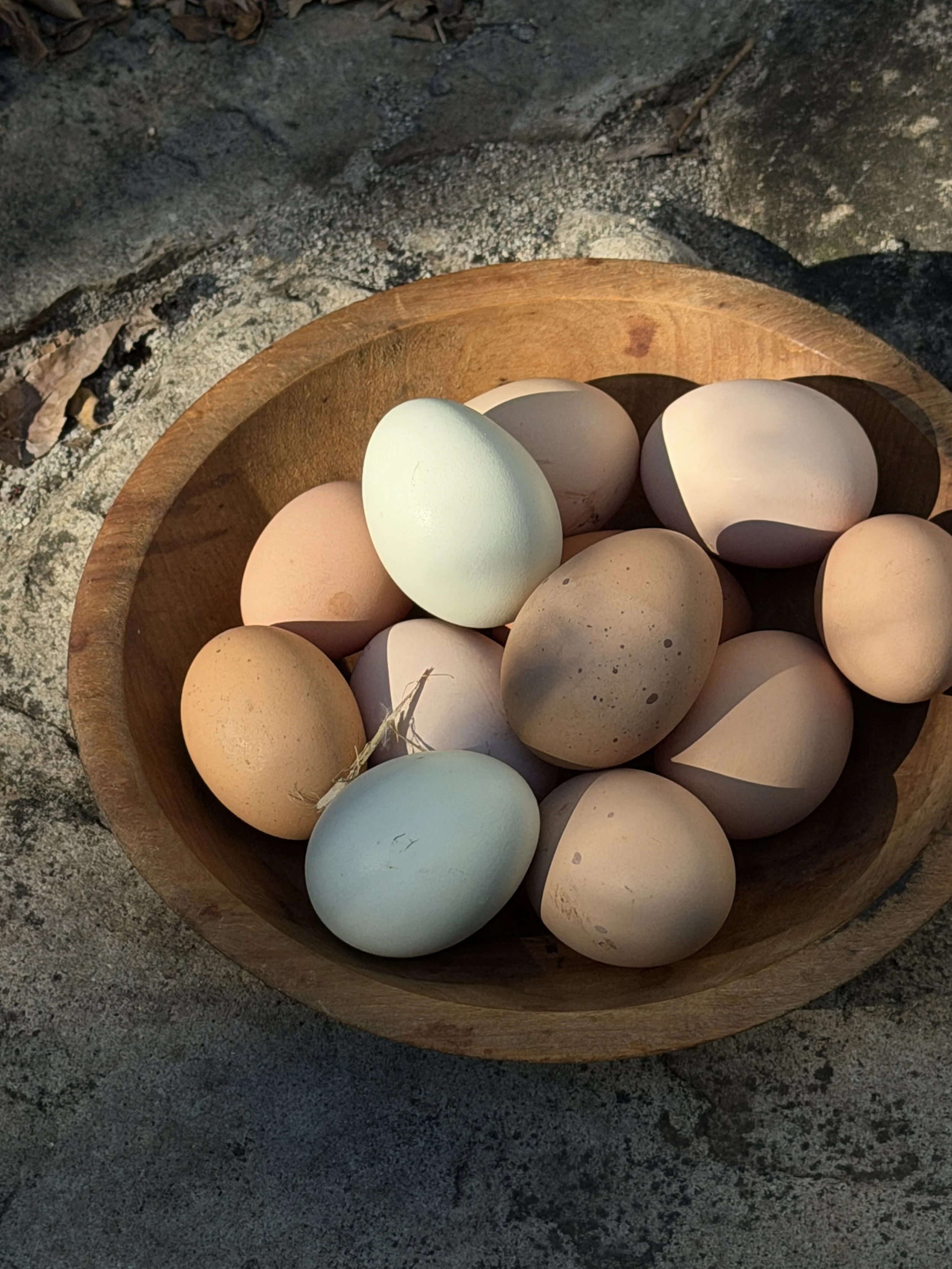 Farm fresh eggs in a wood bowl