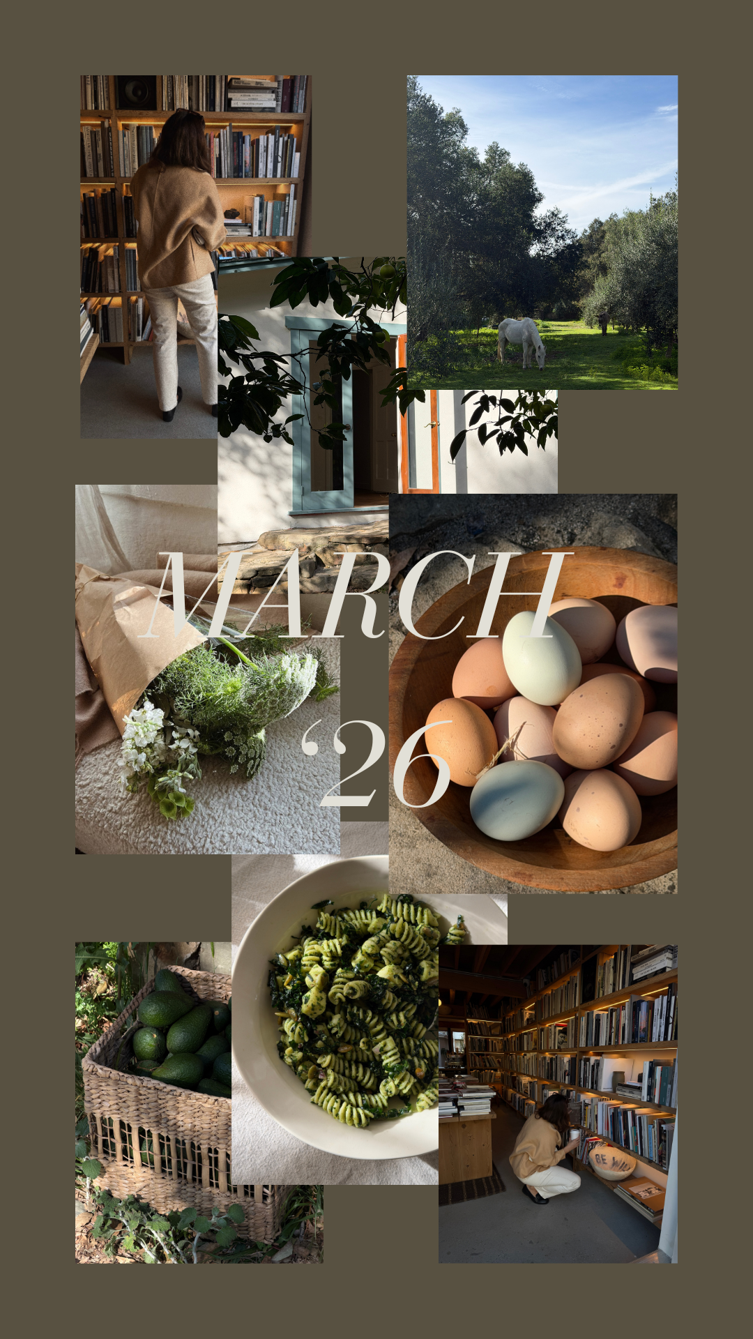 March '2026- Spring Mood Board