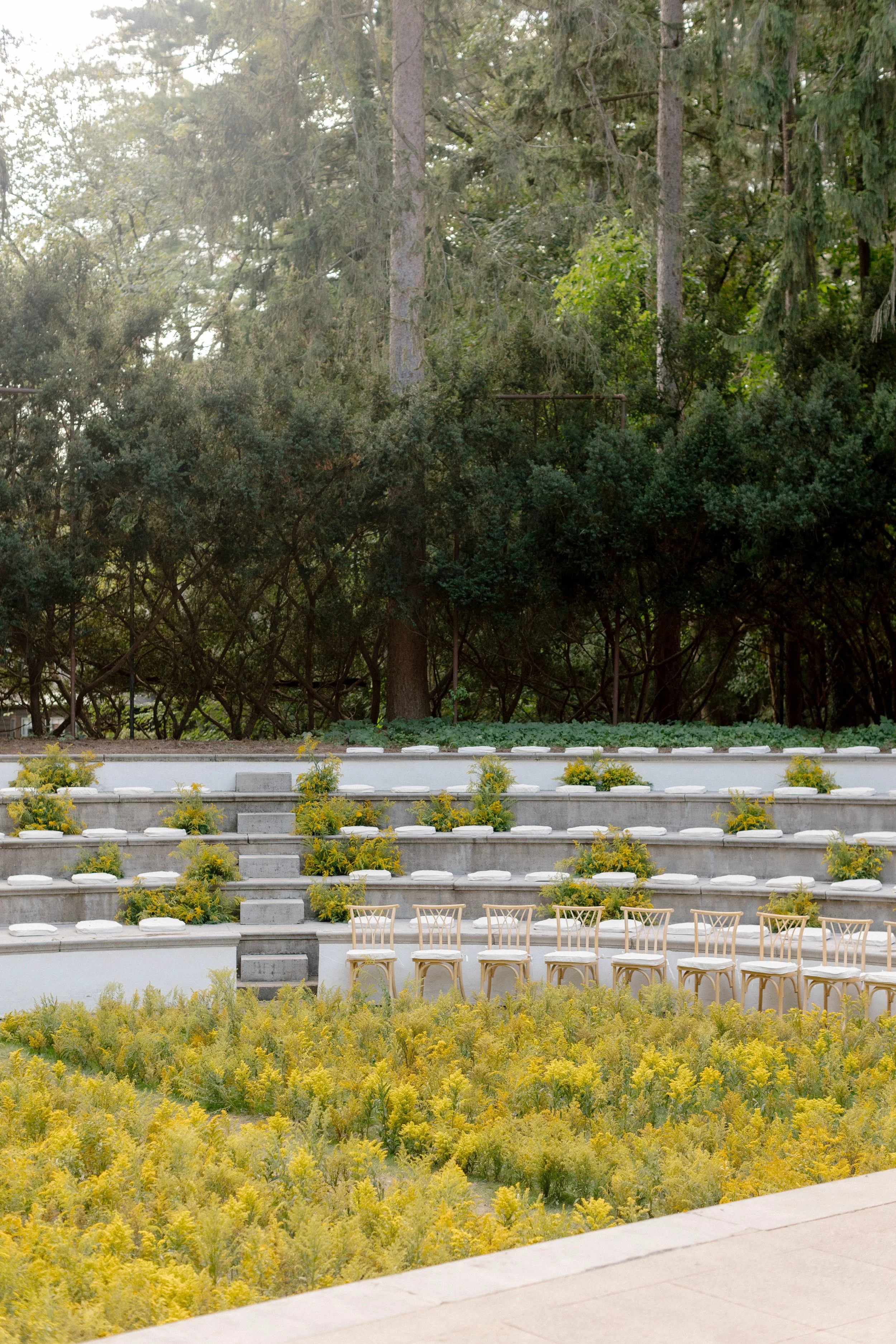 ShawnMattCeremony-2 copy.jpg