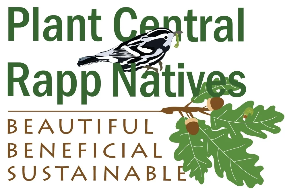 Plant-Central-Rapp-Natives-Logo---high-res.jpg