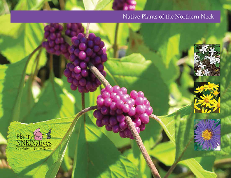 Northern-Neck-Native-Plant-Guide-1.png