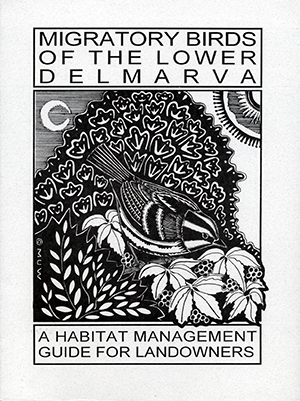 Publications---cover-of-Migratory-Birds-of-Lower-Delmarva.png