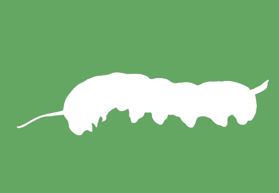 larval-host---caterpillar---symbol.png