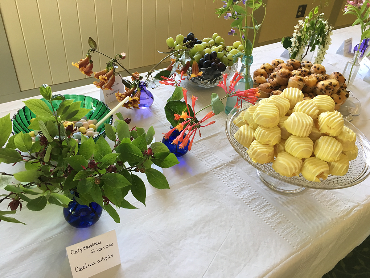 Plant-RVA-Natives-Launch-at-Maymont.png