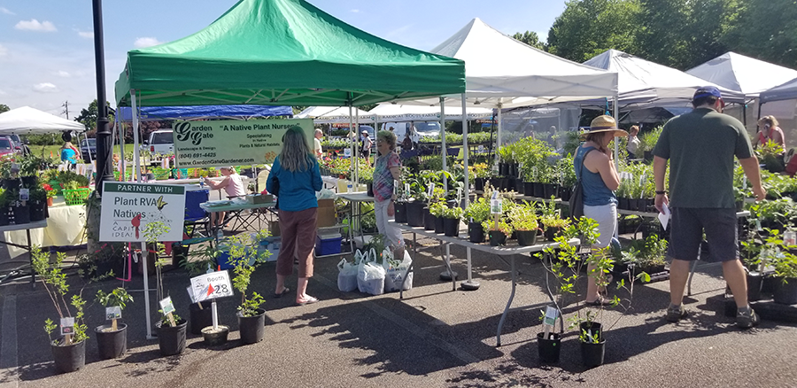Lewis Ginter - Spring PlantFest. Thanks to our partner, the VDOT Pollinator Habitat Program for connecting with the day’s vendors to partner with the campaign!