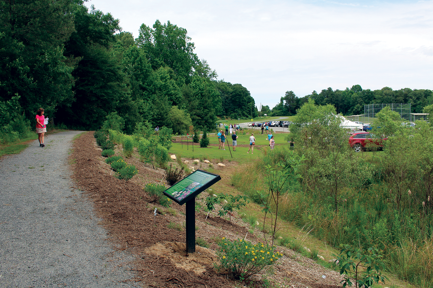 Cedell Brooks Jr Park Native Landscaping — Plant Virginia Natives