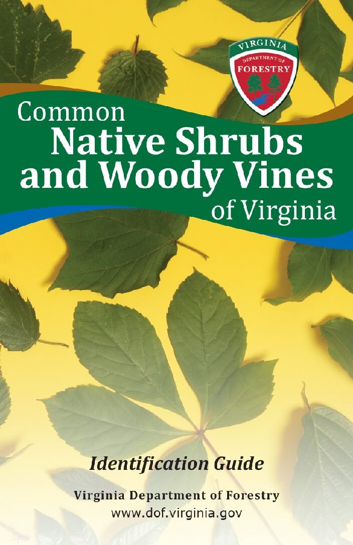 Common-Native-Shrubs-and-Woody-Vines-ID_pub-pdf.jpg