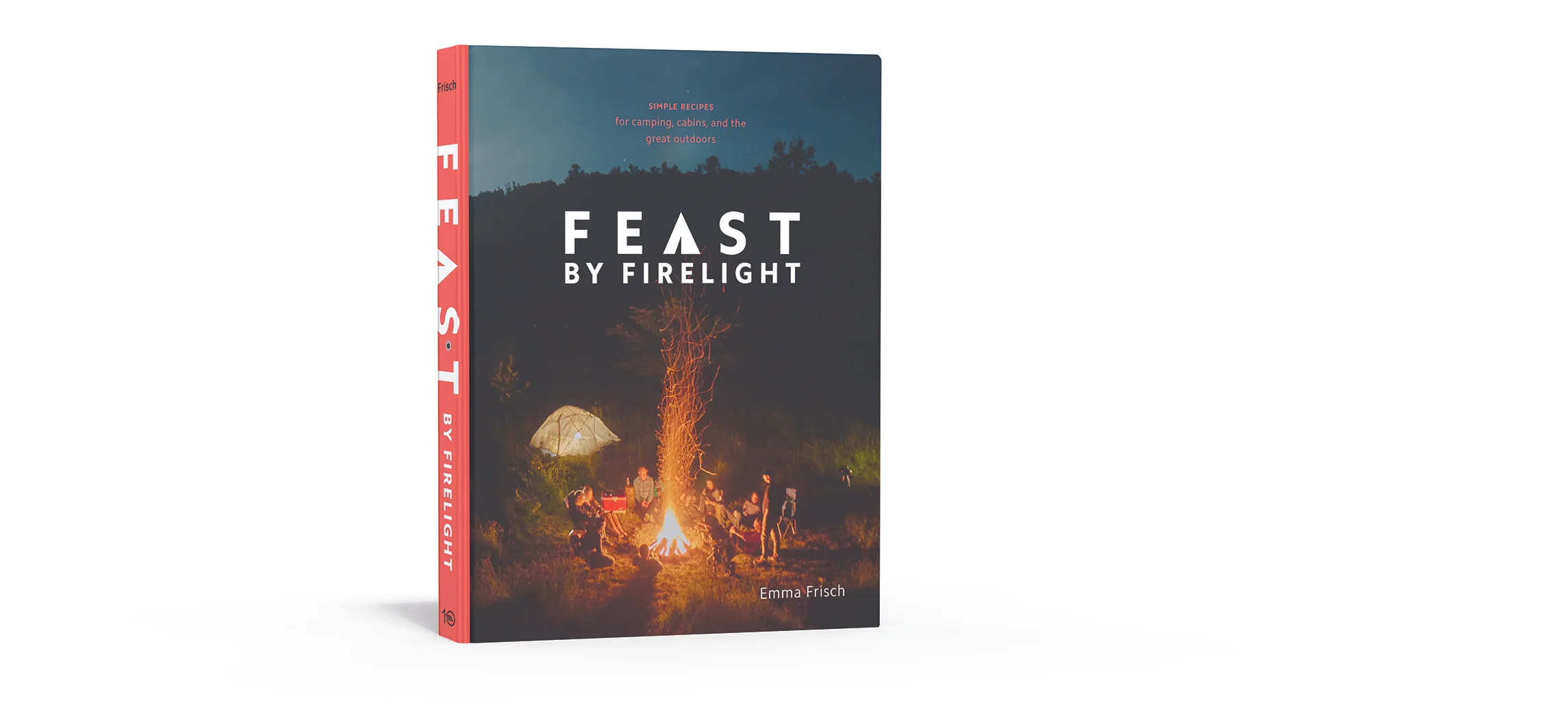 3d Book Cover_Feast by Firelight small.jpg