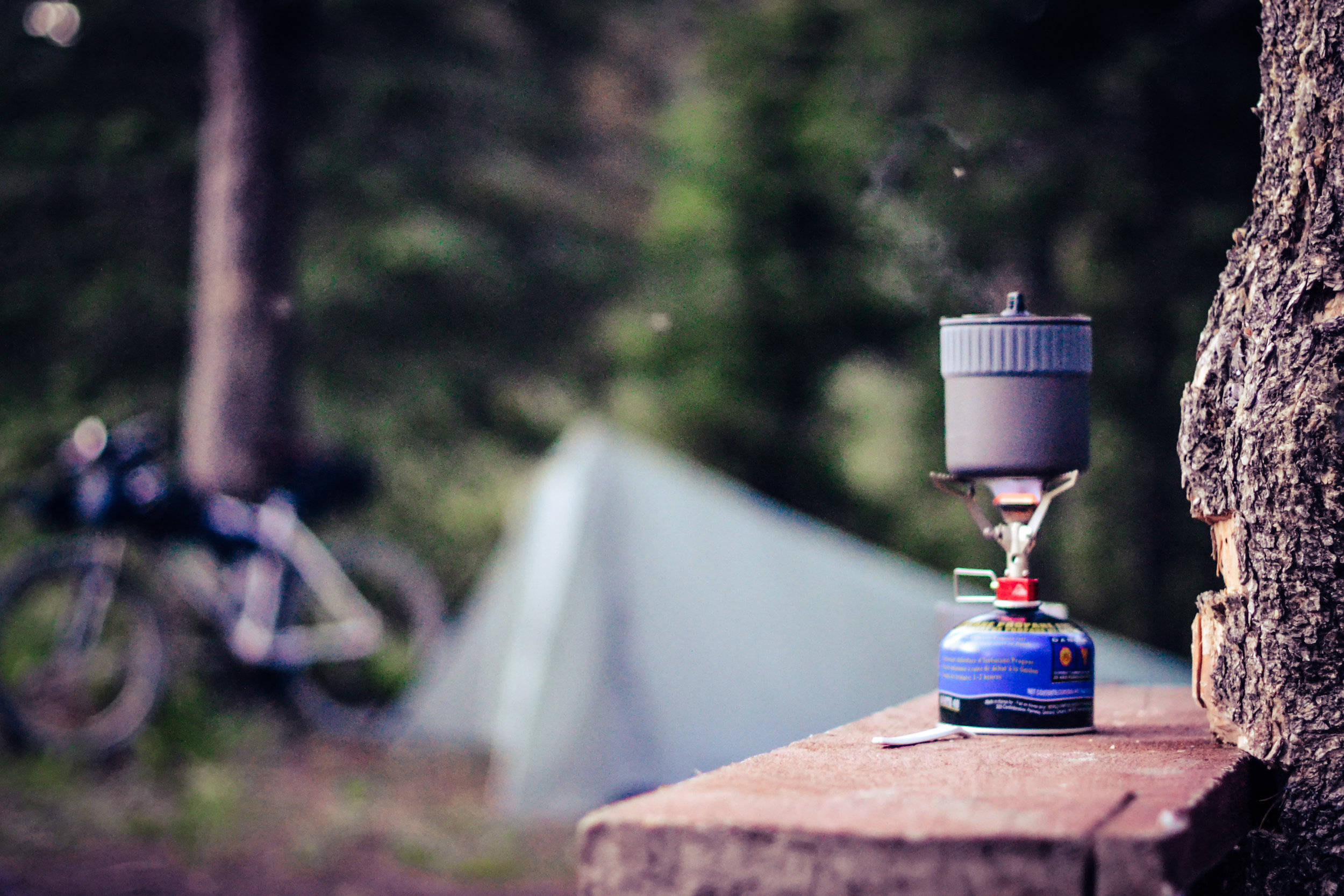 20180701 AR700-36.jpg