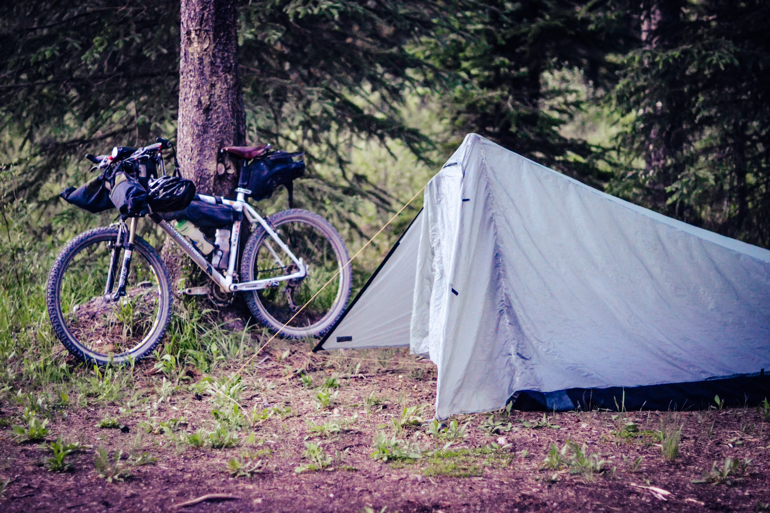 20180701 AR700-34.jpg