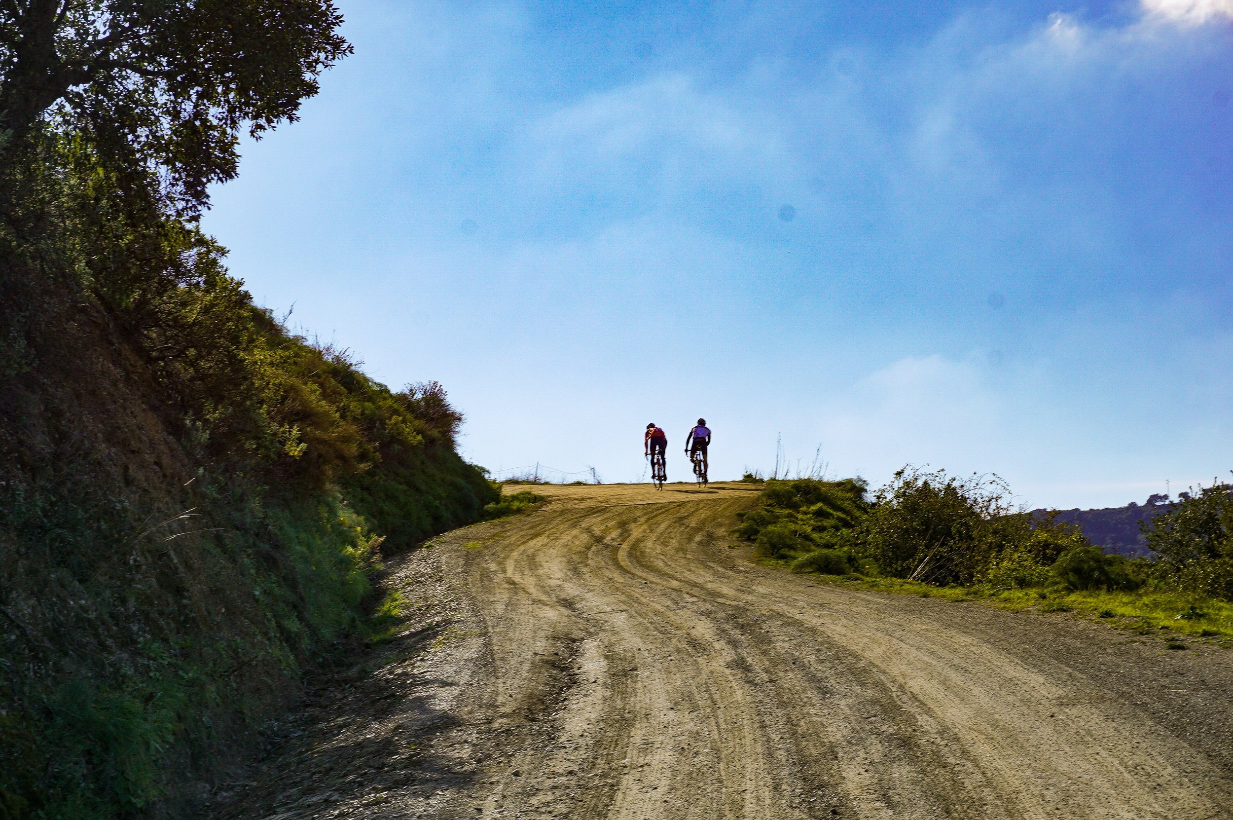 ORG_DSC03113.jpg