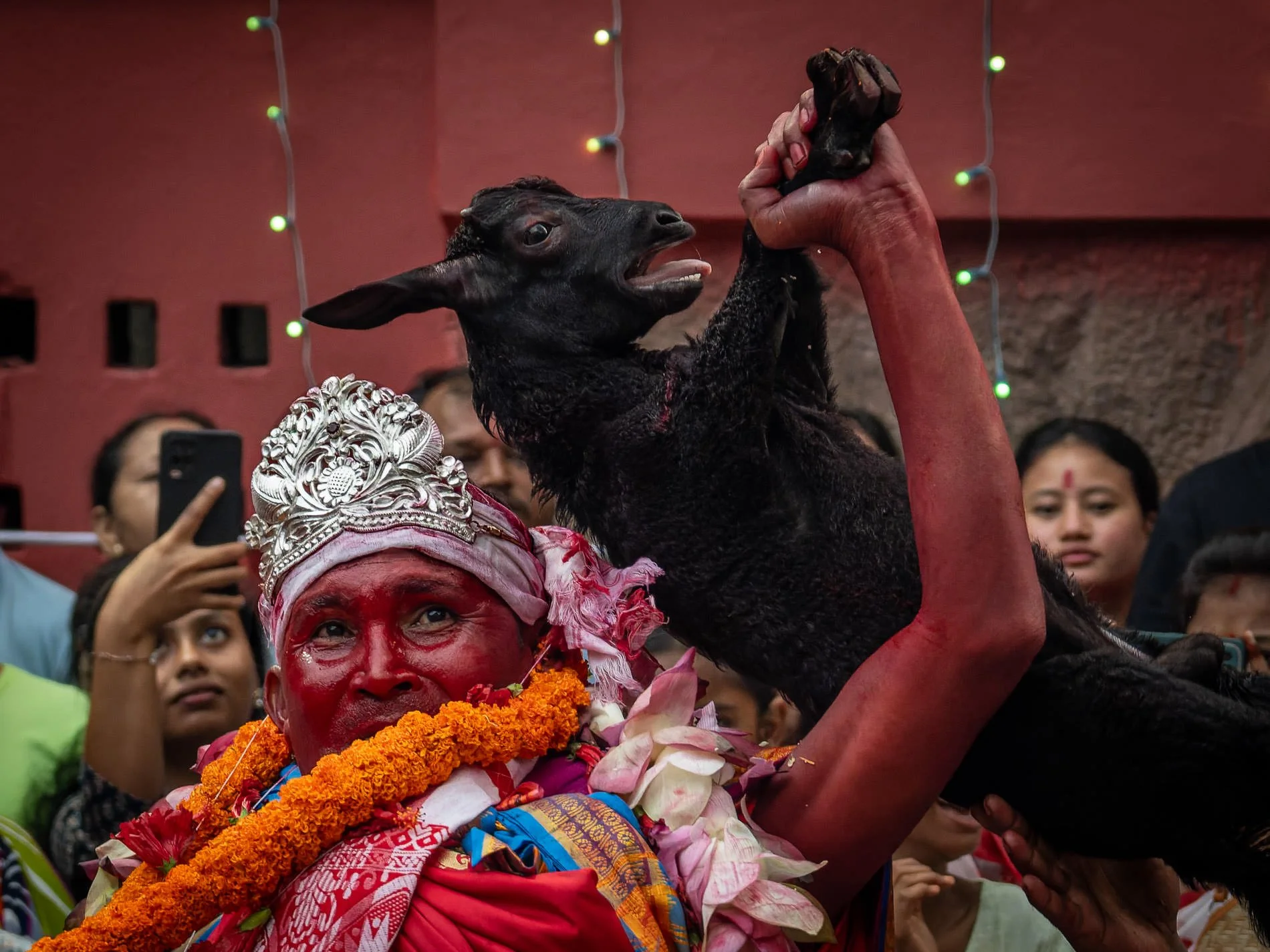 Assam-3-11.jpg