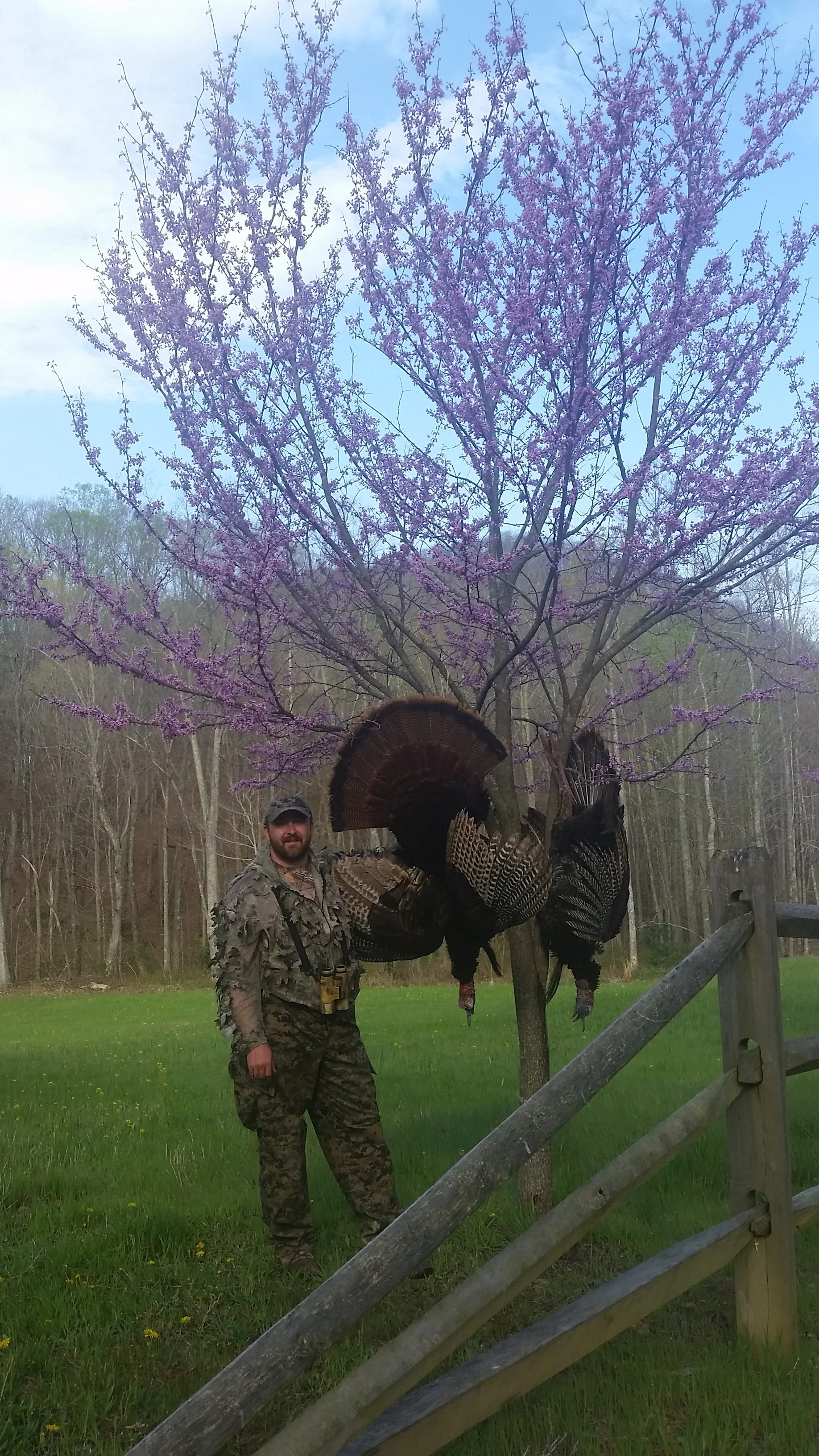 Robert Nimmo WV&Va Birds both in 1 day.jpg