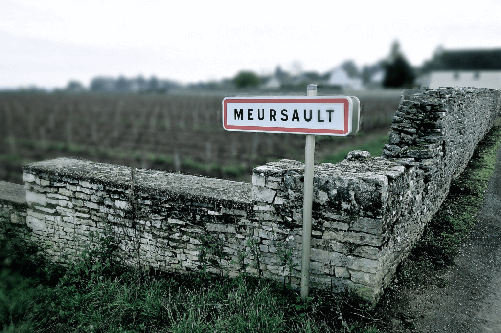 White Burgundy from North to South ($250)