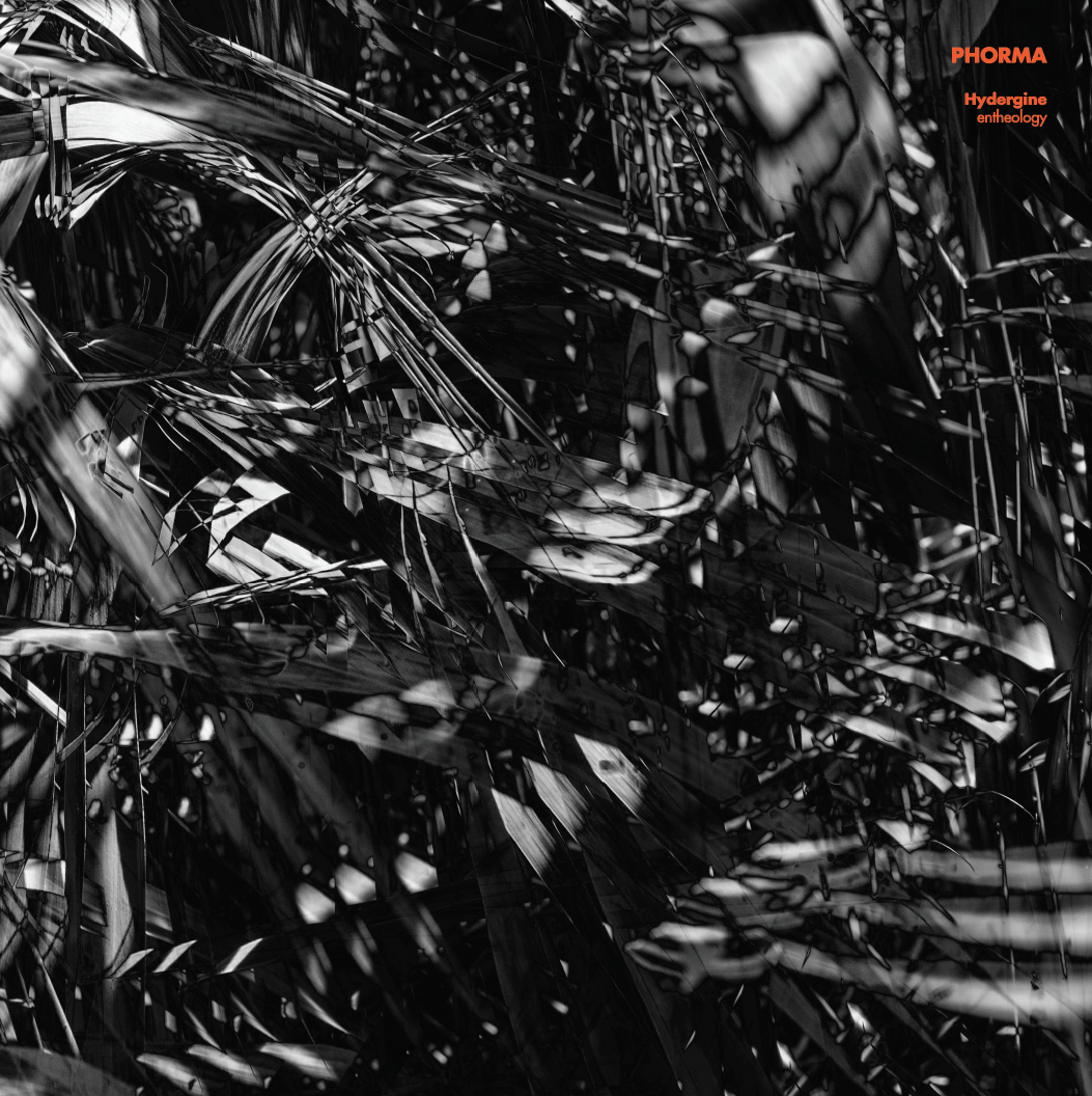 PHORMA_012_cover_A.png