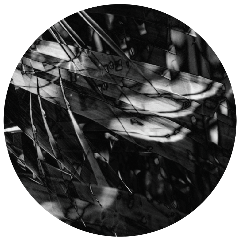 PHORMA_012_label-A.png