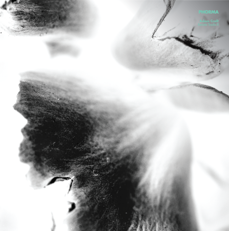 Screen Shot 2019-07-01 at 9.56.49 AM.png