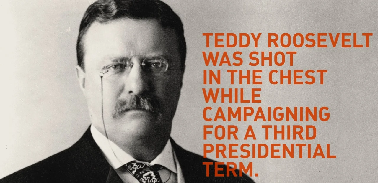 12_proven_tough_teddy1.jpg