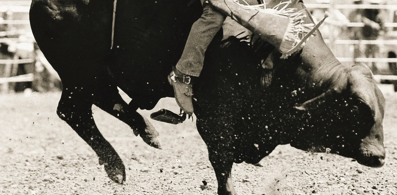 15_proven_tough_bullshot.jpg