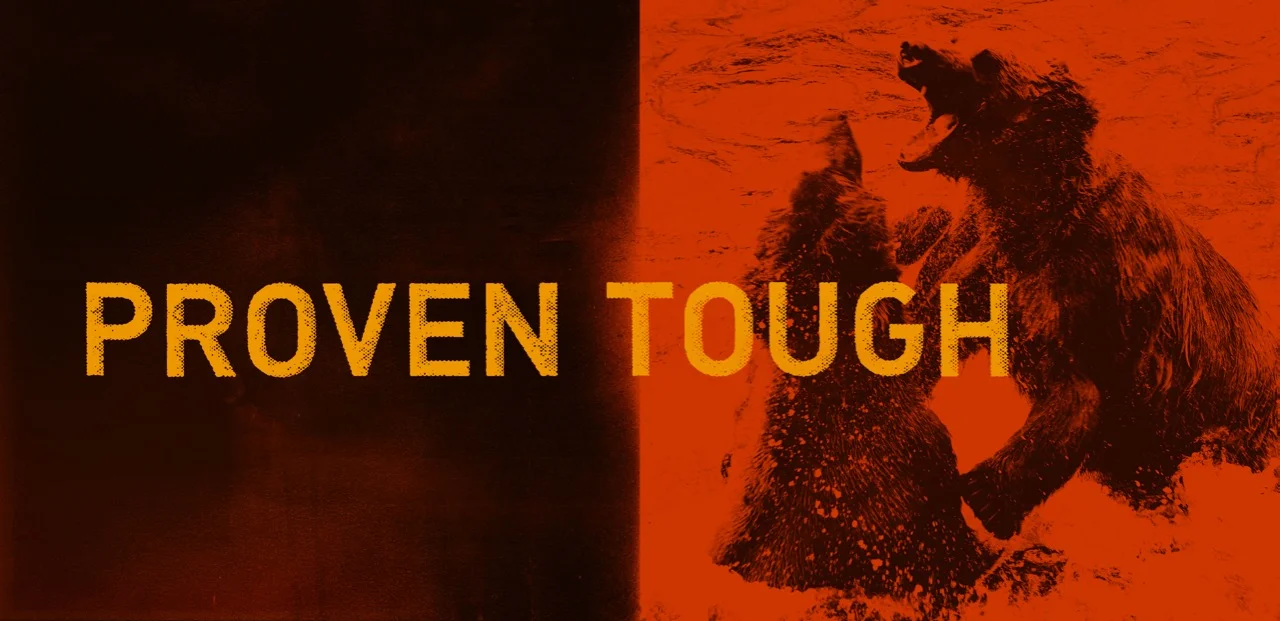 33_proven_tough_bears.jpg