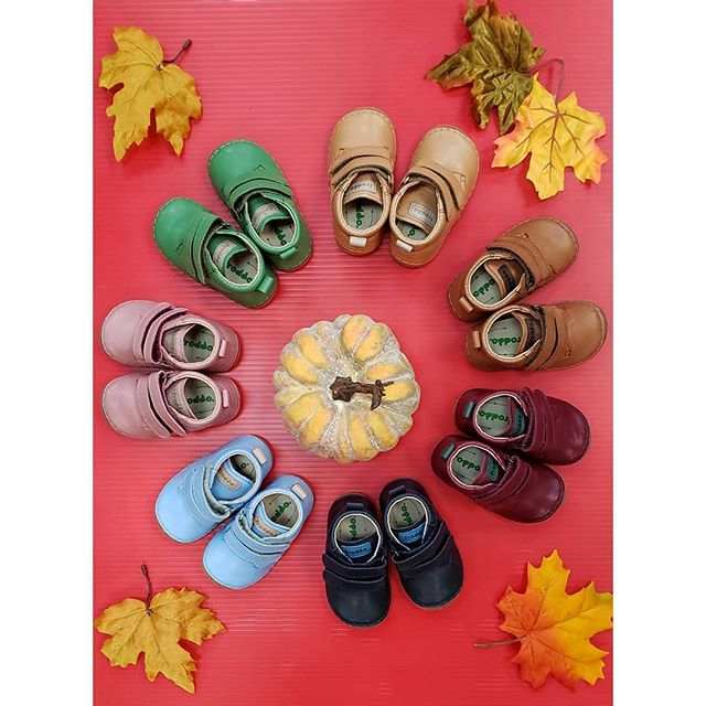 Walk into the colorful world of Fall with our favorite @froddoshoes booties! 🍂🍁 #atx #atxlocal #austin #shoplocal #shopatx #atxshoes #atxkids #atxkidshoes #austinkidsfashion #atxkidsfashion #austinkids #austinkidshoes #shoplocalatx #kidsstyle #aust