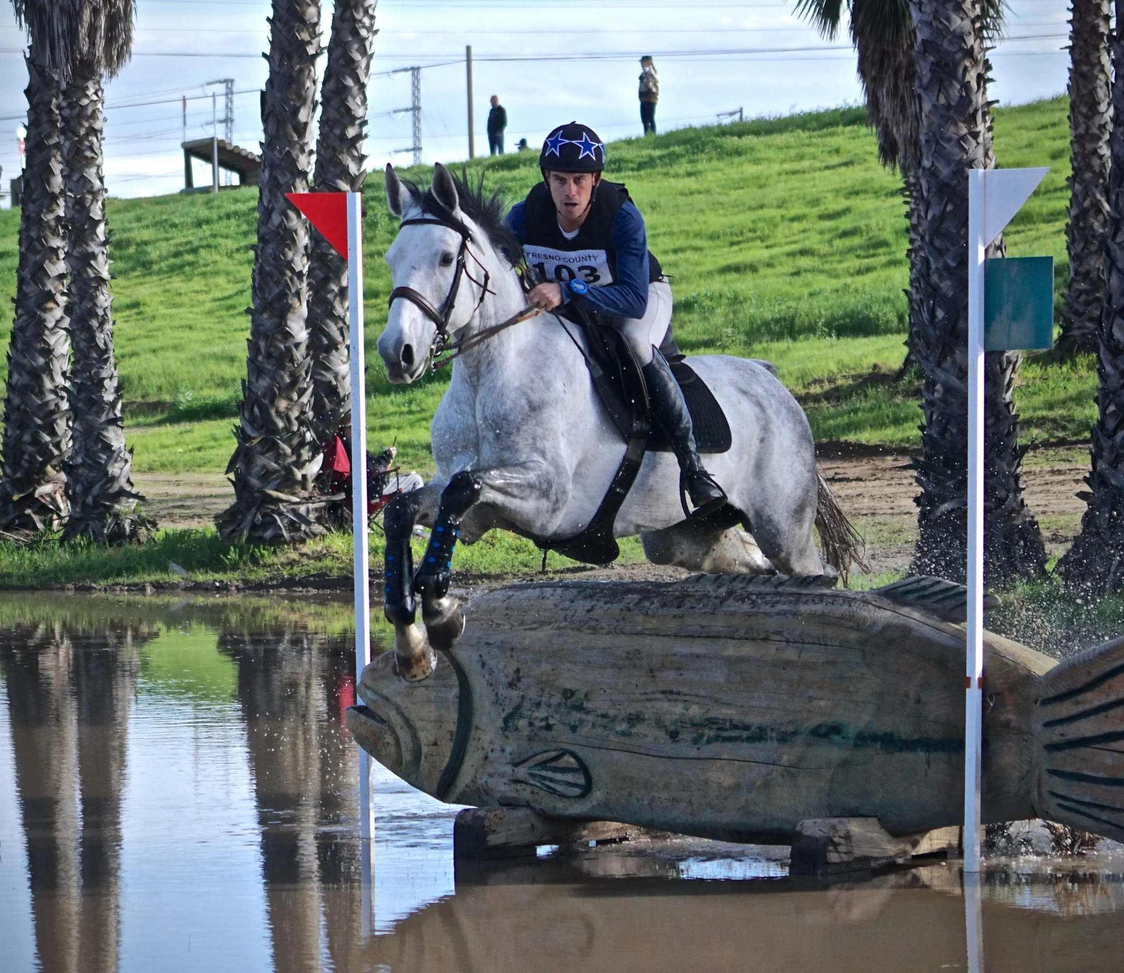 Quinn Fresno XC 2.2017.jpg