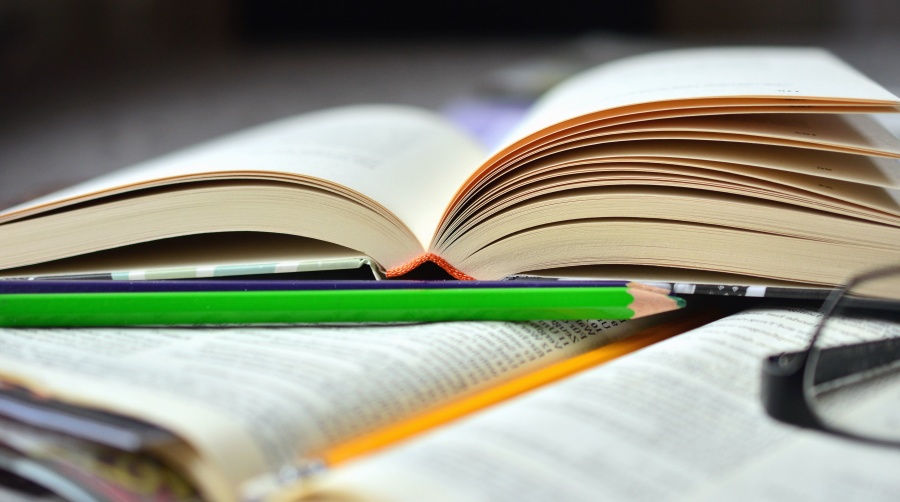 From Surviving to Thriving Book Study
