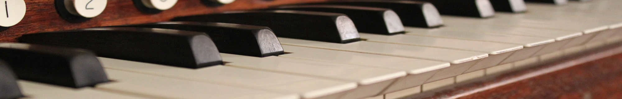 Organ_Banner.jpg