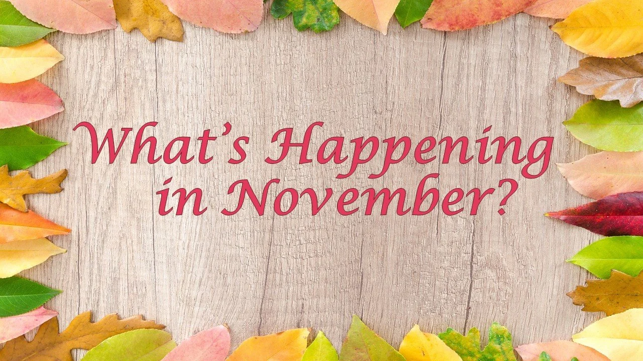 What's Happening in November?