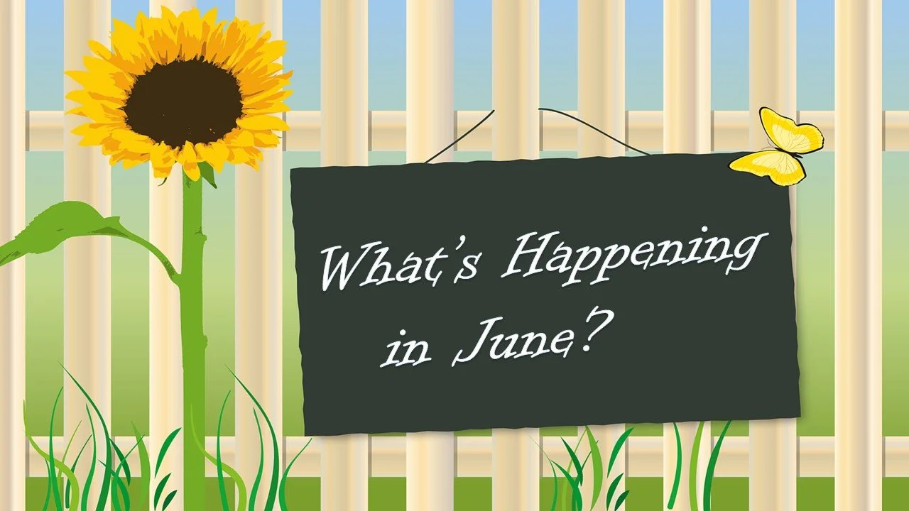 What's Happening in June? 