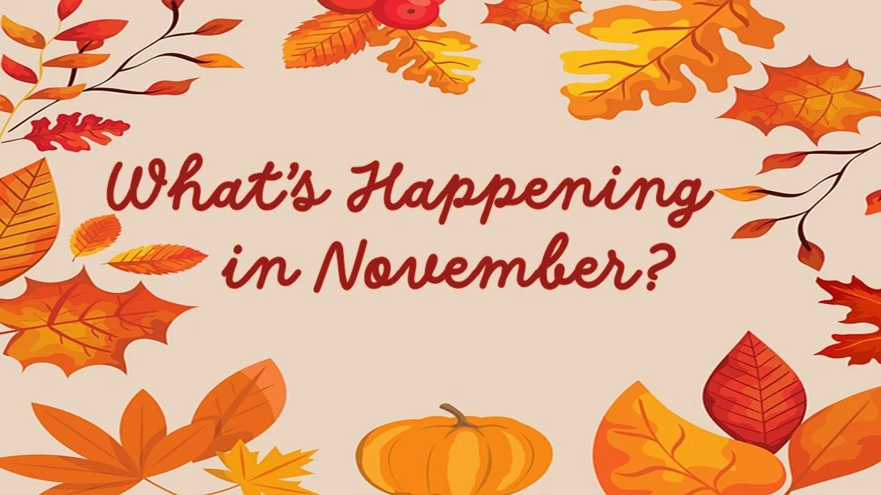 What's Happening in November?