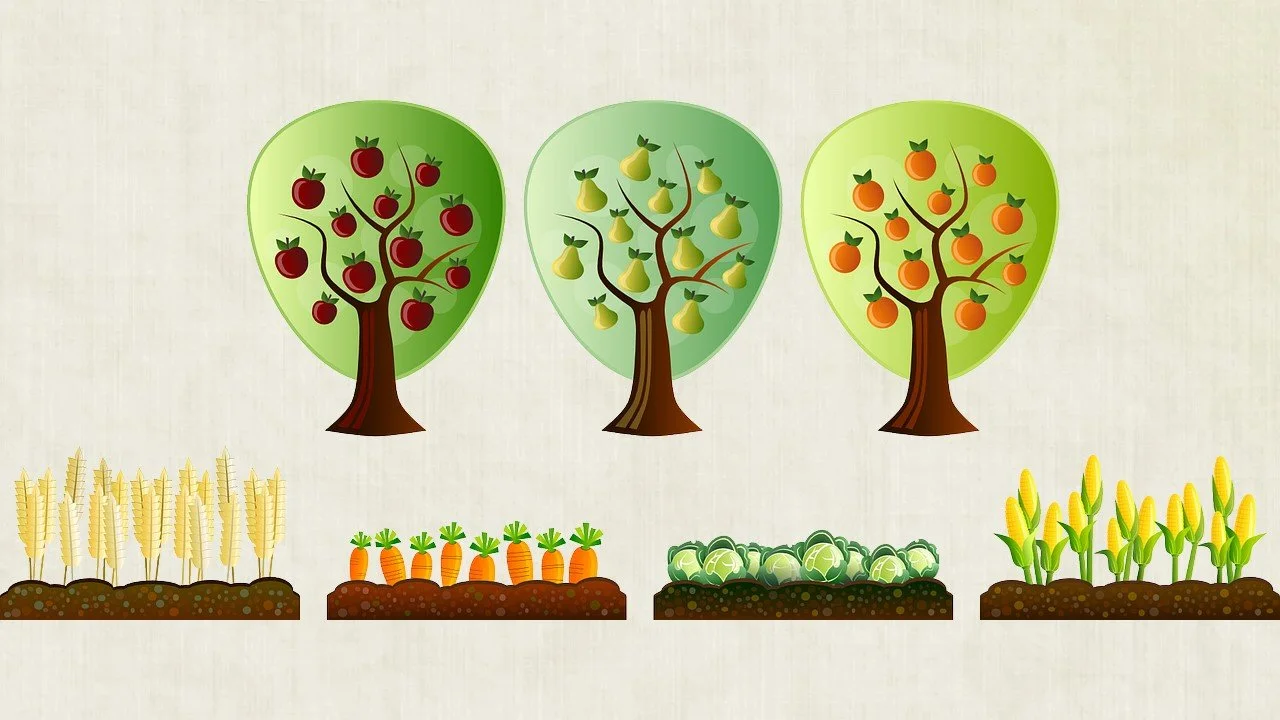 Community Garden Survey
