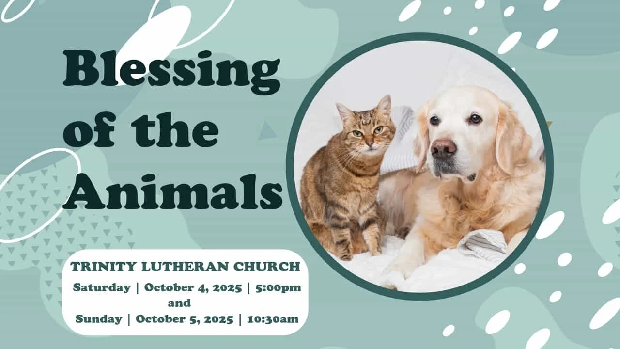 Blessing of the Animals - October 4th &amp; 5th