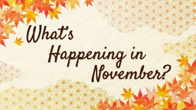 What's Happening in November? 